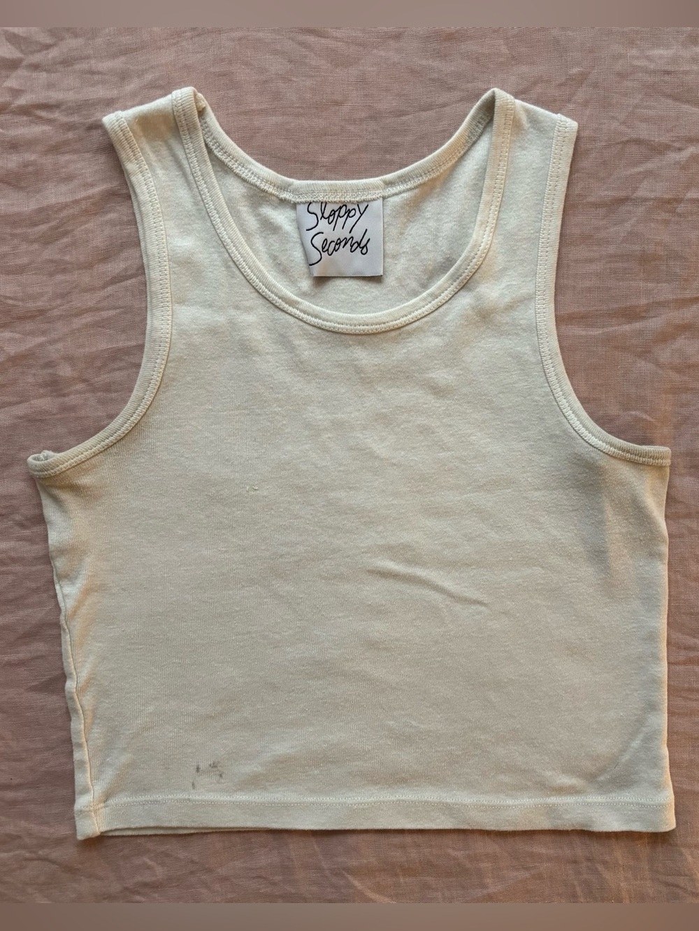 Sloppy Seconds | Crop Tank Top